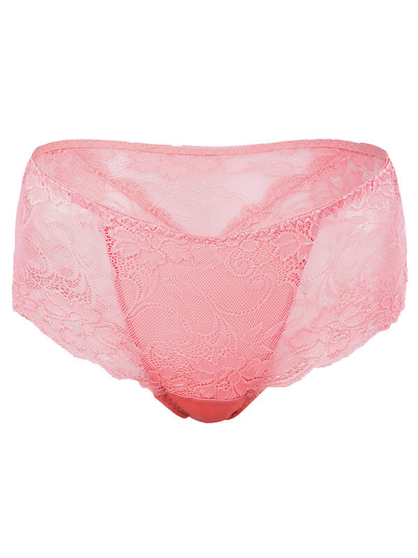 Women Silk Mesh Lace Knitted Underwear Briefs